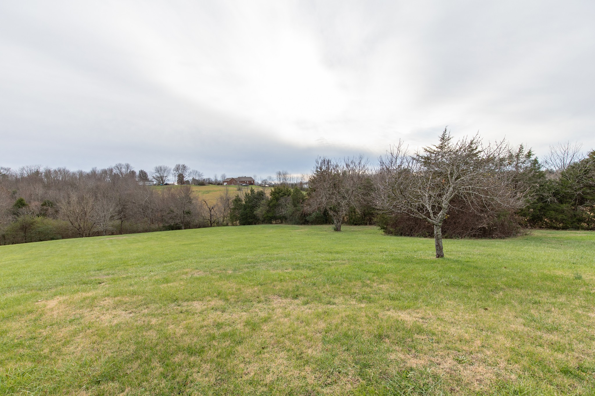 1417 Fairfield Road Westmoreland, TN 37186 - Photo 31 of 47 Most of the acreage is located in front of the house