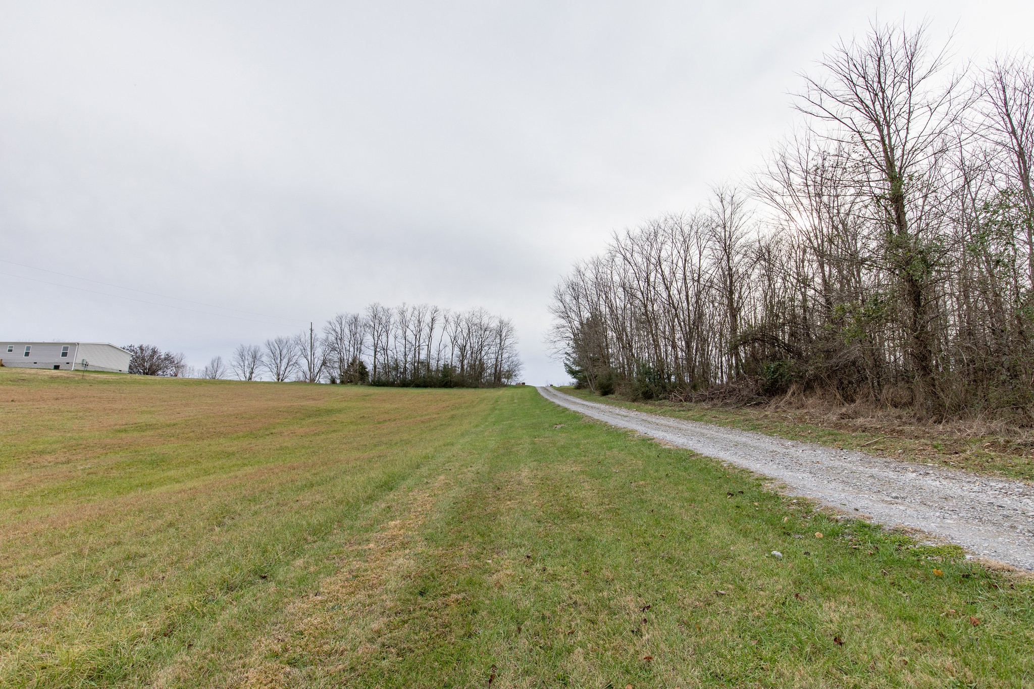 1417 Fairfield Road Westmoreland, TN 37186 - Photo 33 of 47 Leading up the drive