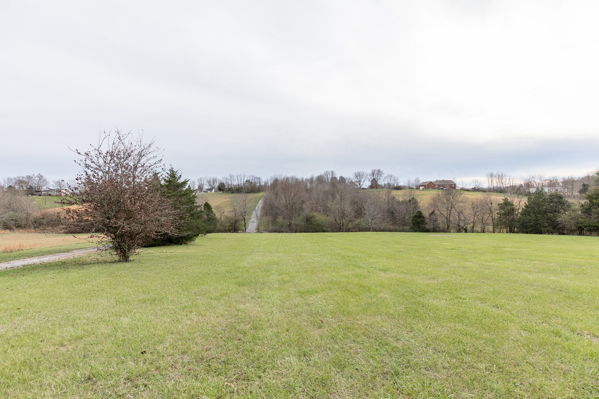 1417 Fairfield Road Westmoreland, TN 37186 - Photo 39 of 47