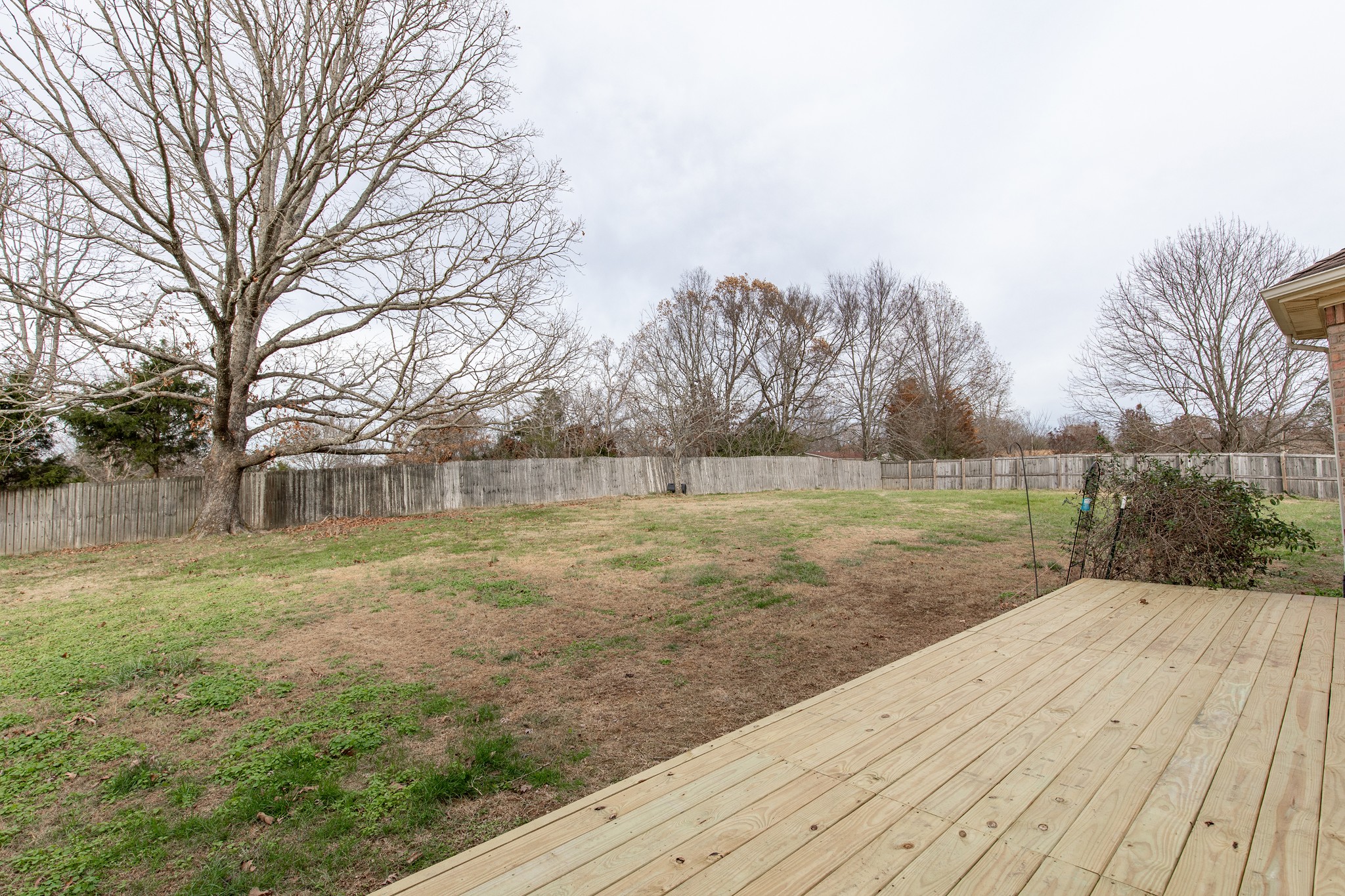 1417 Fairfield Road Westmoreland, TN 37186 - Photo 42 of 47 The dogs and kids will love the fenced in yard!