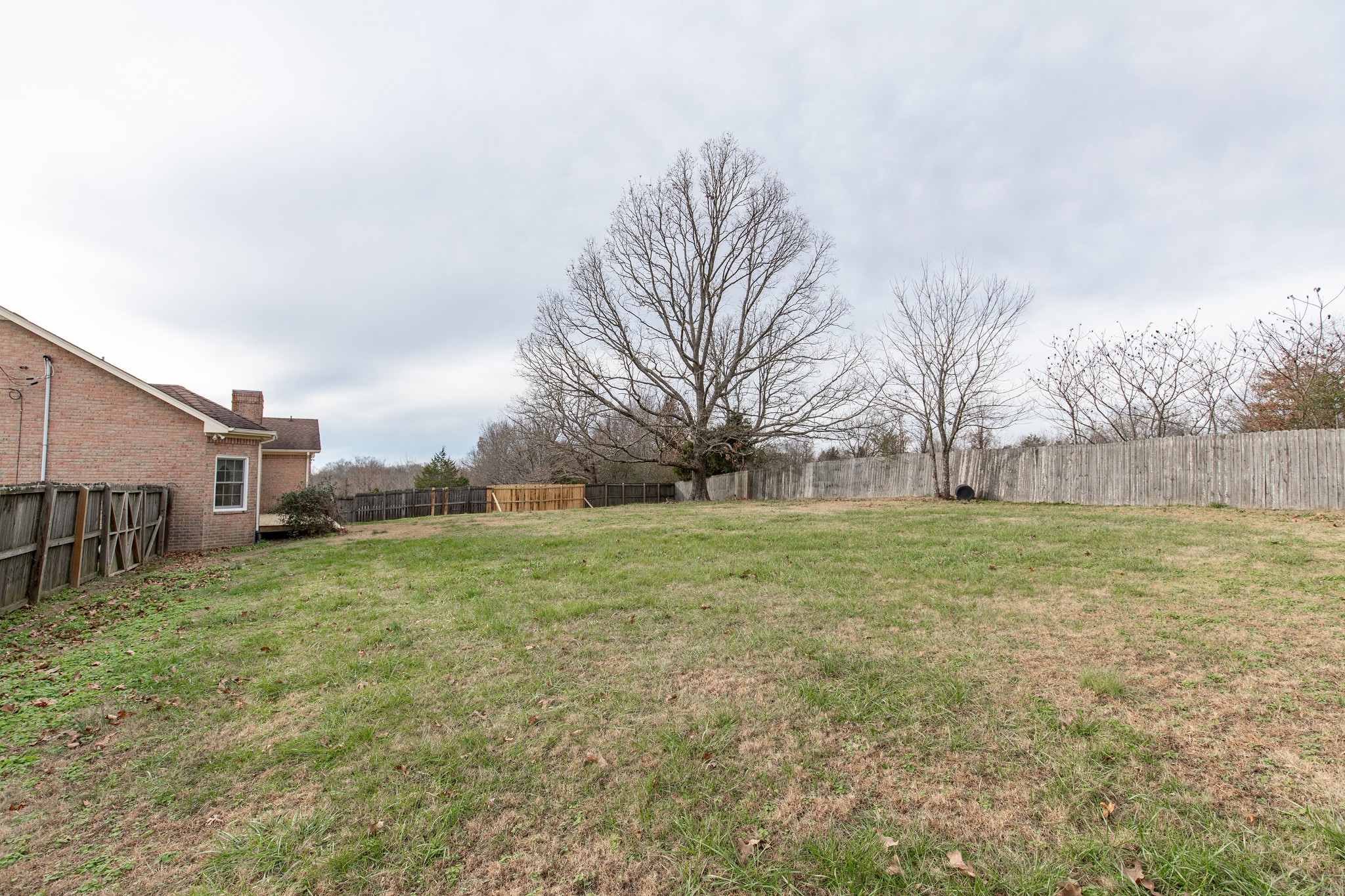 1417 Fairfield Road Westmoreland, TN 37186 - Photo 43 of 47 That big oak tree is gorgeous!