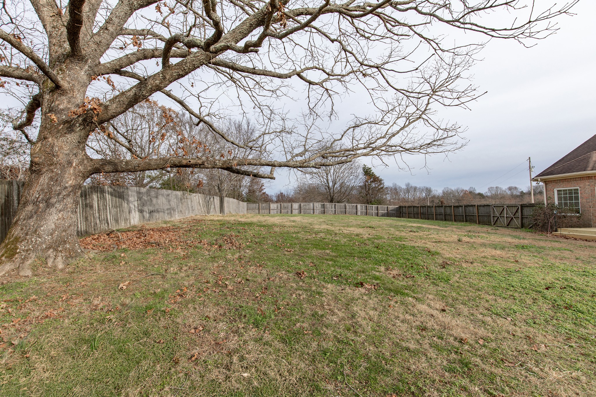 1417 Fairfield Road Westmoreland, TN 37186 - Photo 45 of 47 The seller has a card to leave with the house for the arborist who has cared for this beautiful tree