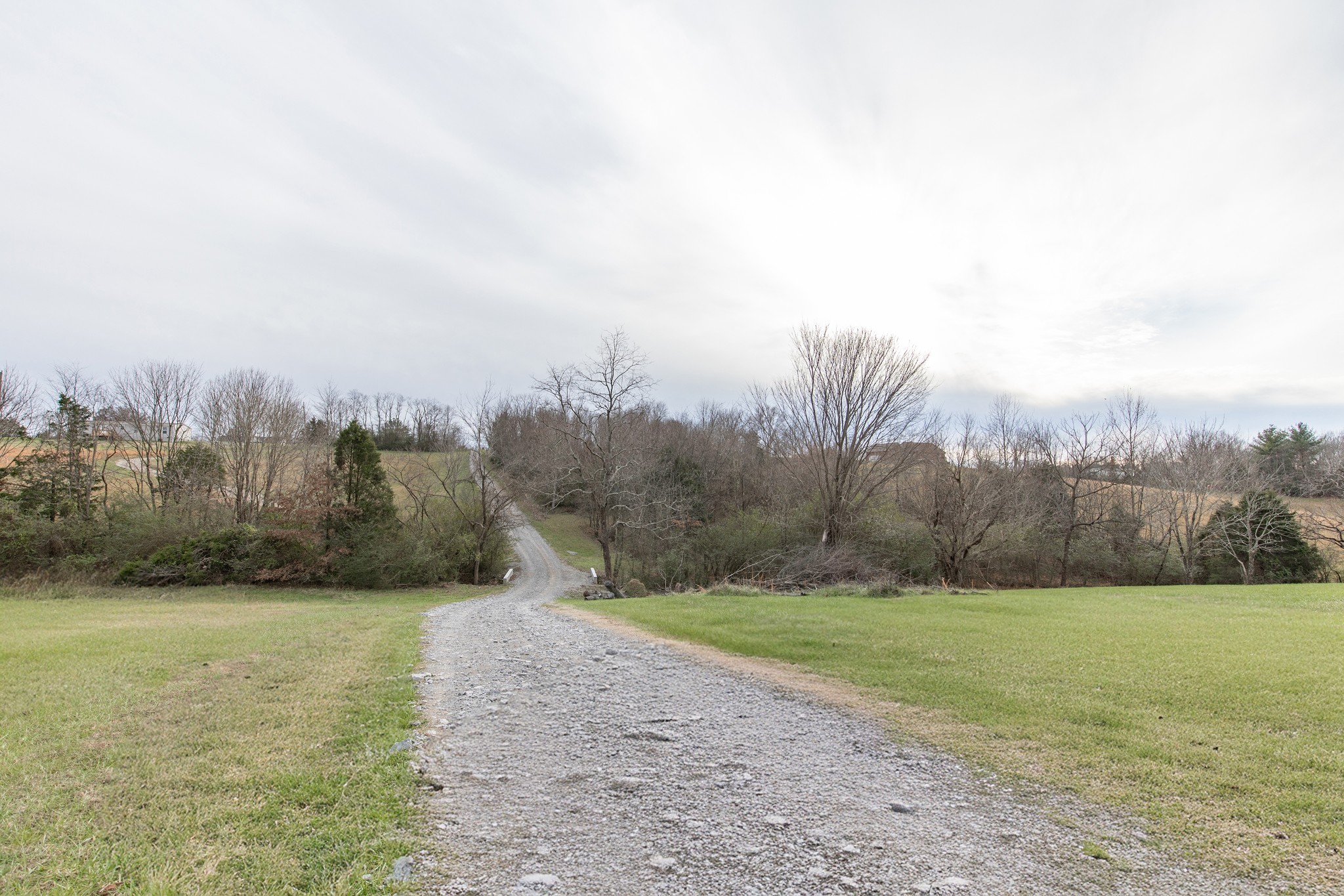 1417 Fairfield Road Westmoreland, TN 37186 - Photo 46 of 47 A shot of the drive leading up to the house