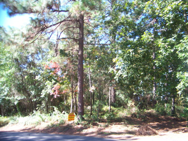 0 Rutledge Road Southwest Aiken, SC 29801 - Photo 1 of 1