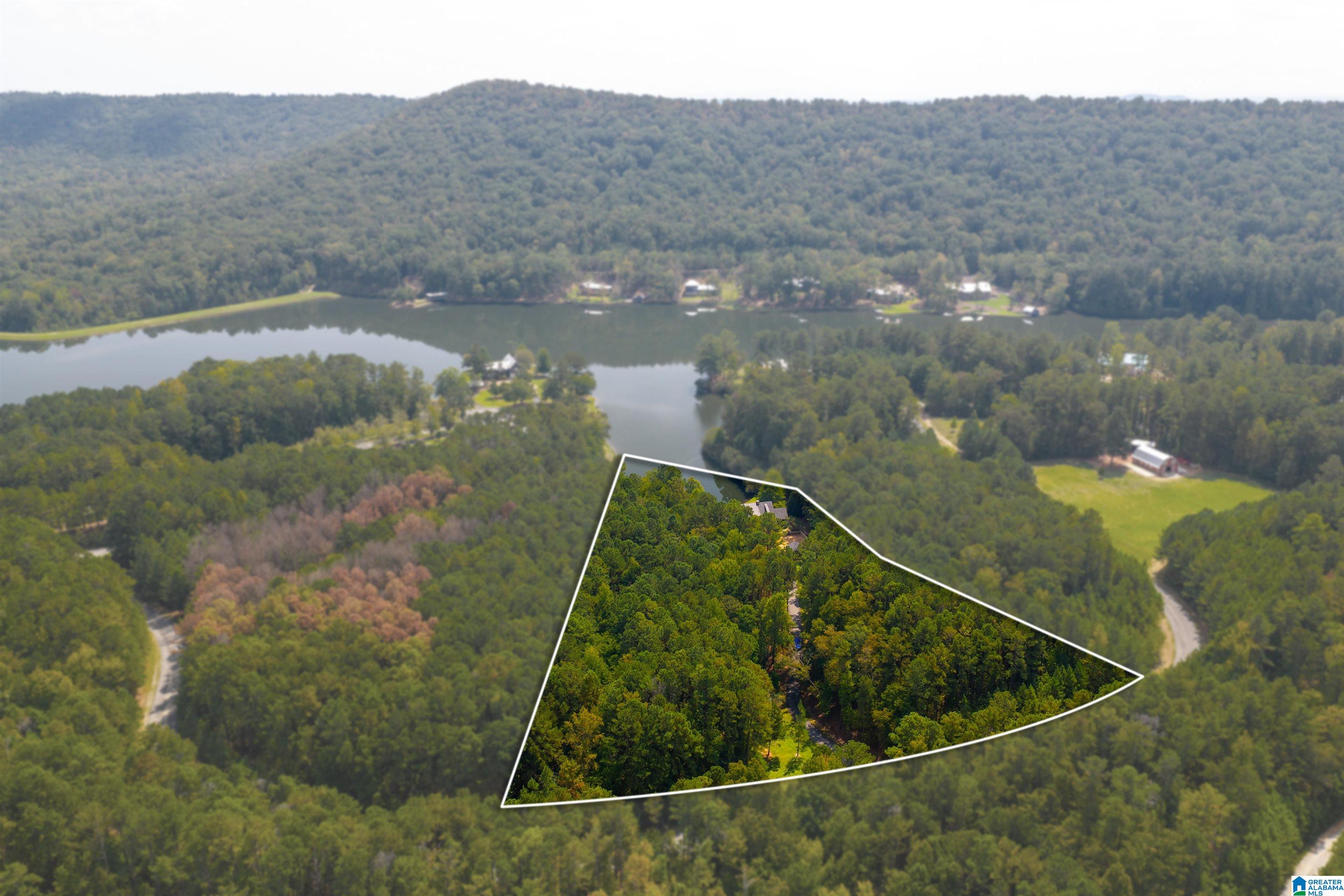 207 Saunders Bridge Circle Sterrett, AL 35147 - Photo 3 of 100