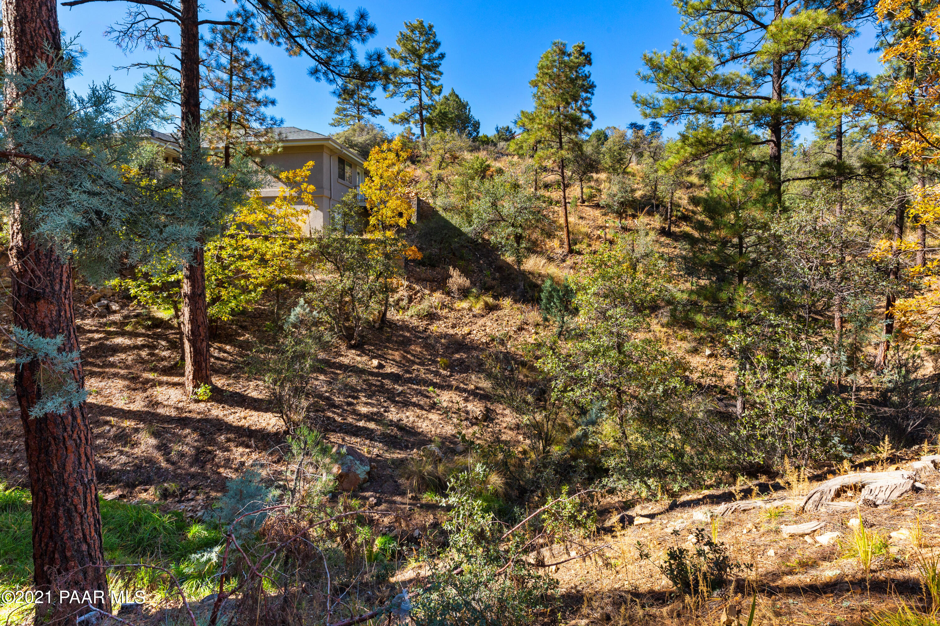 1424 East Valley View Road Prescott, AZ 86303 - Photo 36 of 43 a view of tree