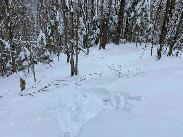 $75,000 | 0 Fall Brook Road, Unit 4, Lyndonville, VT 05851