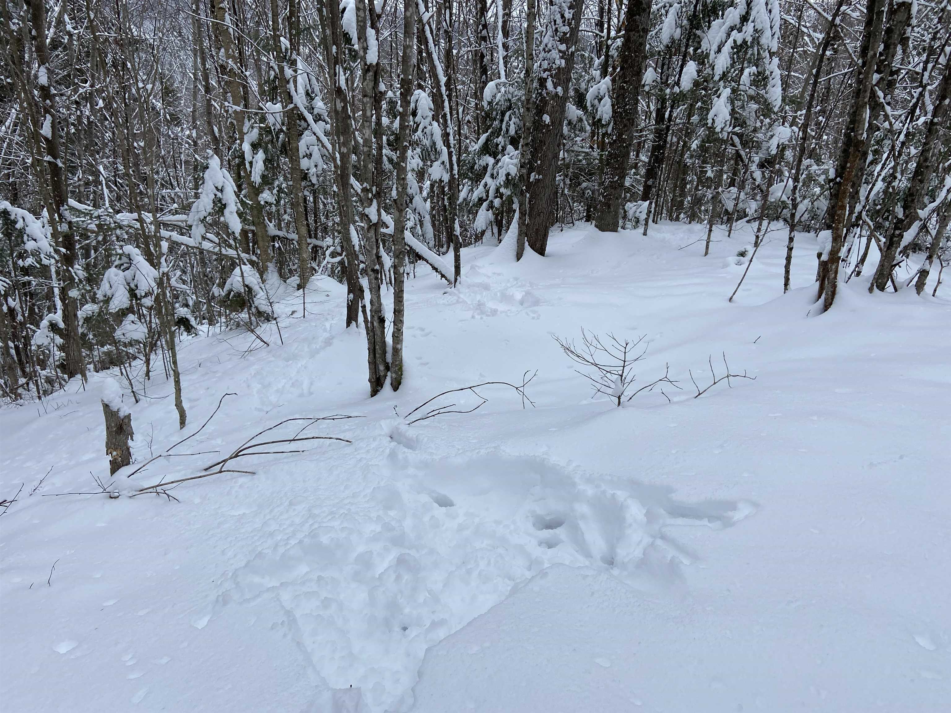 0 Fall Brook Road, Unit 4 Lyndonville, VT 05851 - Photo 11 of 60