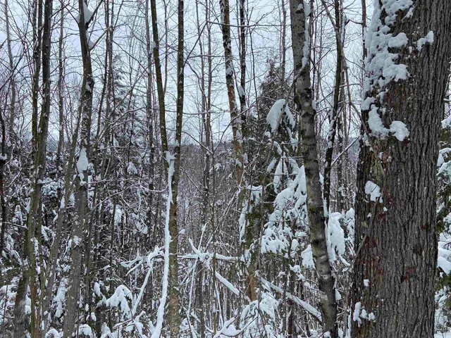 $75,000 | 0 Fall Brook Road, Unit 4, Lyndonville, VT 05851