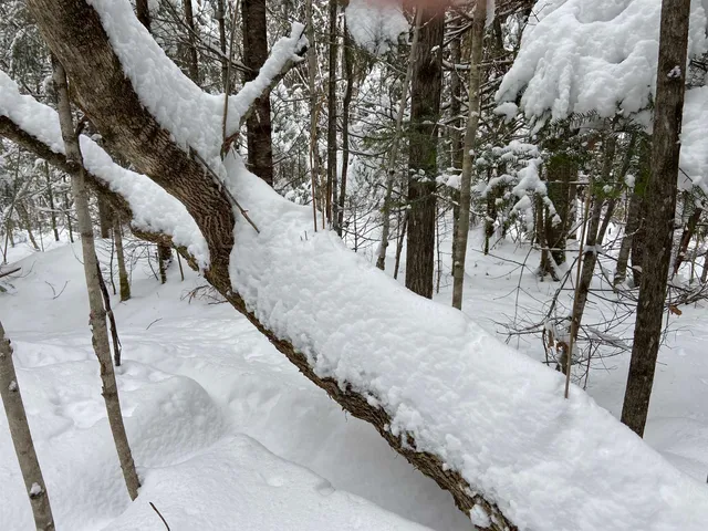 $75,000 | 0 Fall Brook Road, Unit 4, Lyndonville, VT 05851