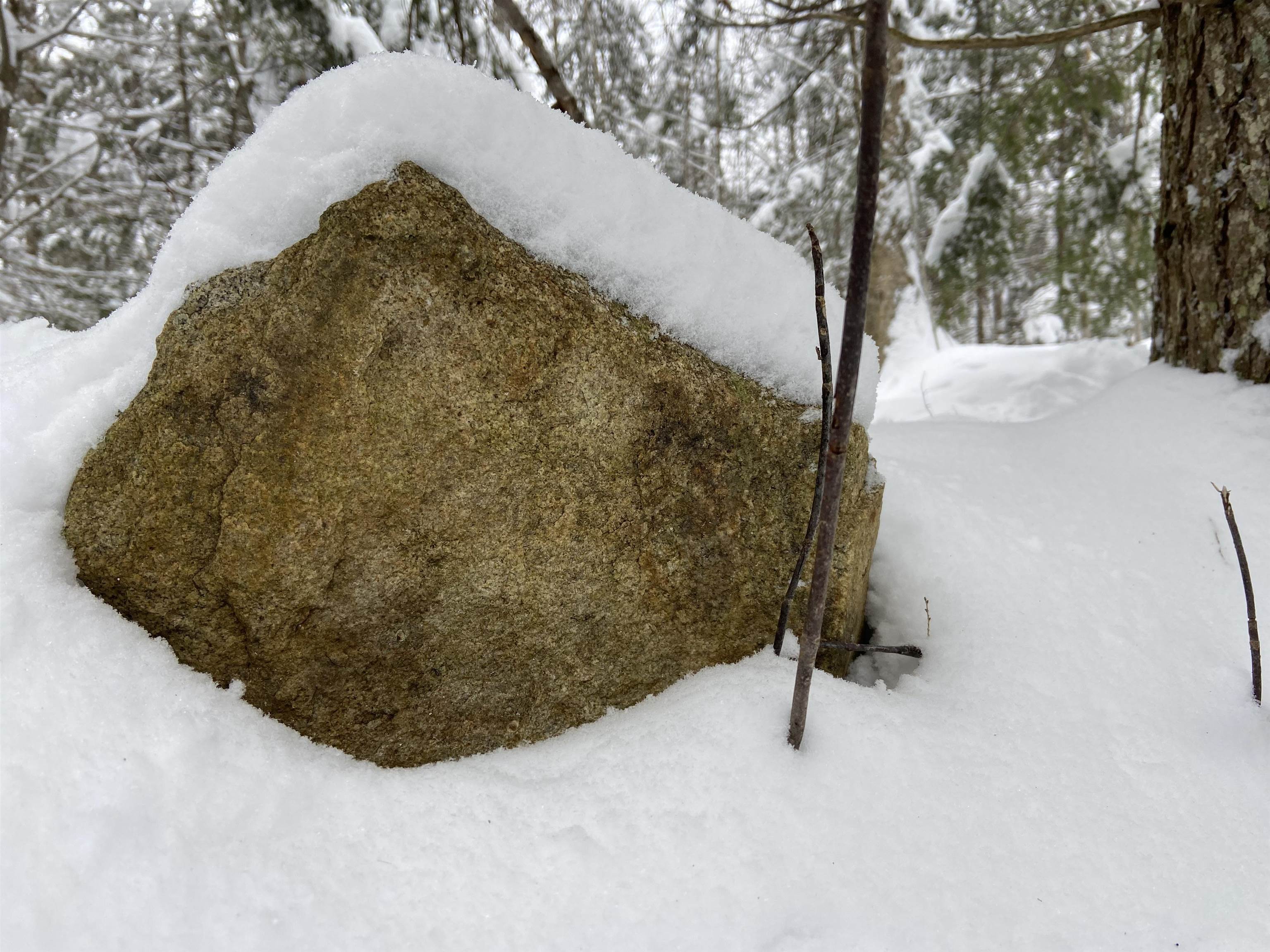 0 Fall Brook Road, Unit 4 Lyndonville, VT 05851 - Photo 15 of 60