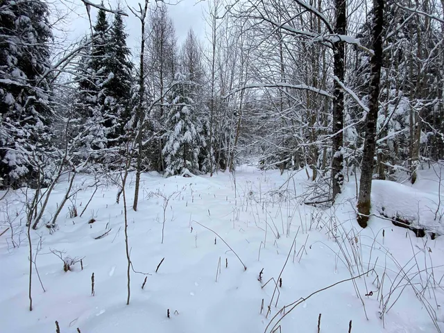 $75,000 | 0 Fall Brook Road, Unit 4, Lyndonville, VT 05851