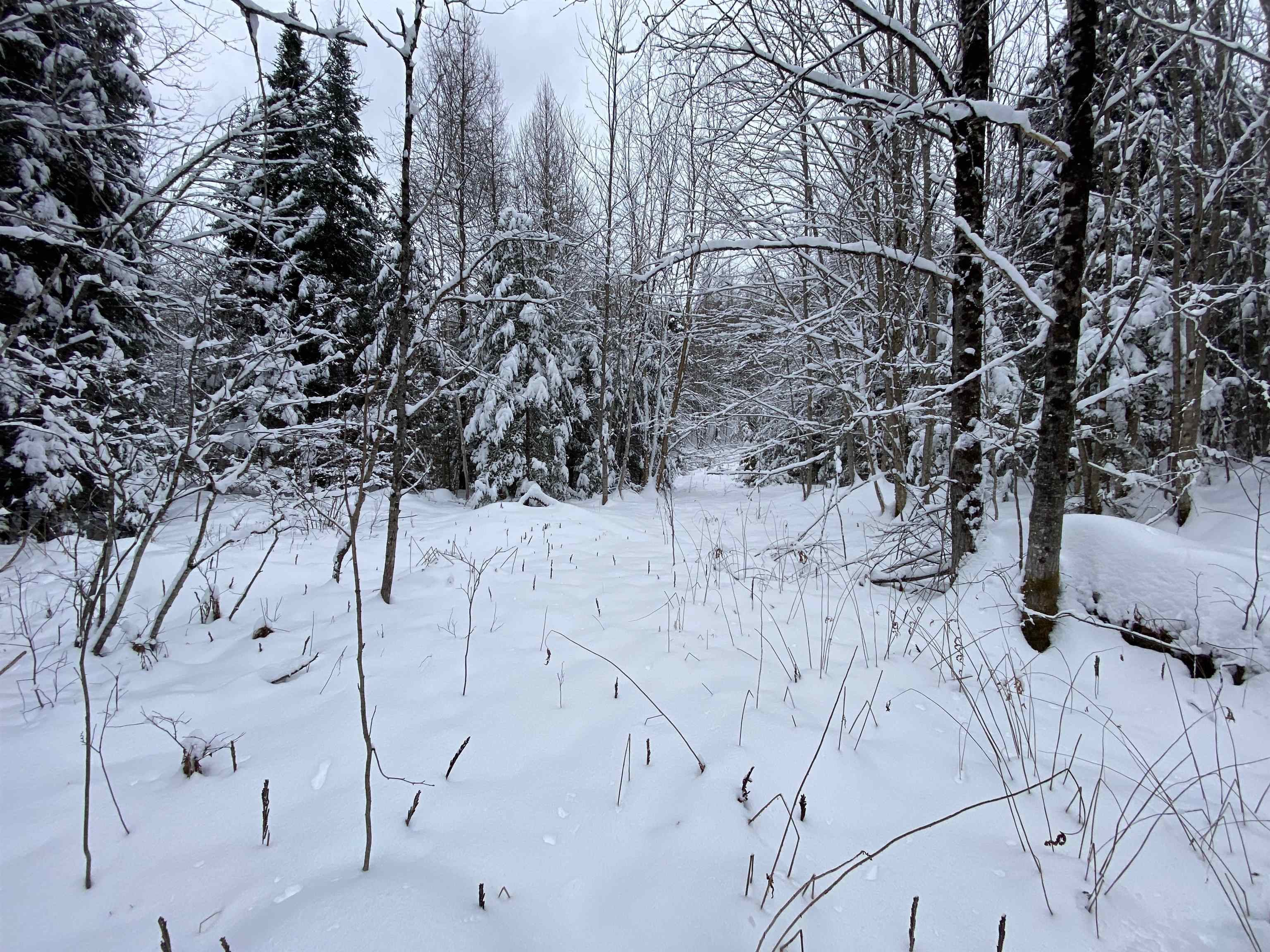 0 Fall Brook Road, Unit 4 Lyndonville, VT 05851 - Photo 16 of 60