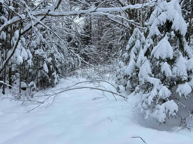 $75,000 | 0 Fall Brook Road, Unit 4, Lyndonville, VT 05851