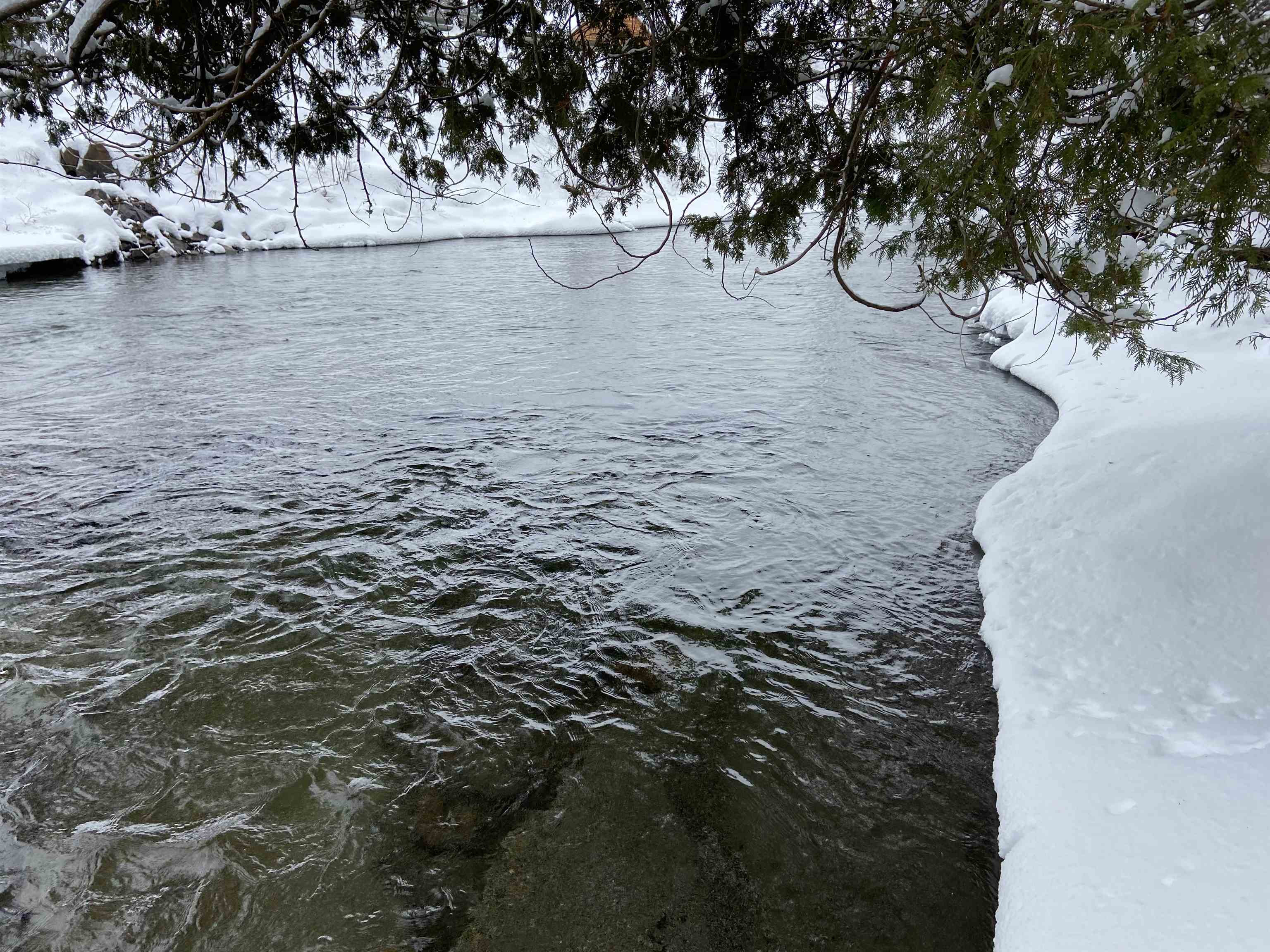 0 Fall Brook Road, Unit 4 Lyndonville, VT 05851 - Photo 19 of 60