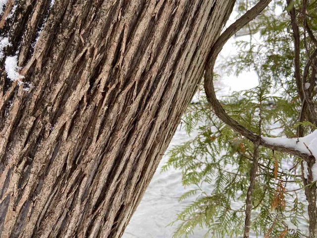 $75,000 | 0 Fall Brook Road, Unit 4, Lyndonville, VT 05851