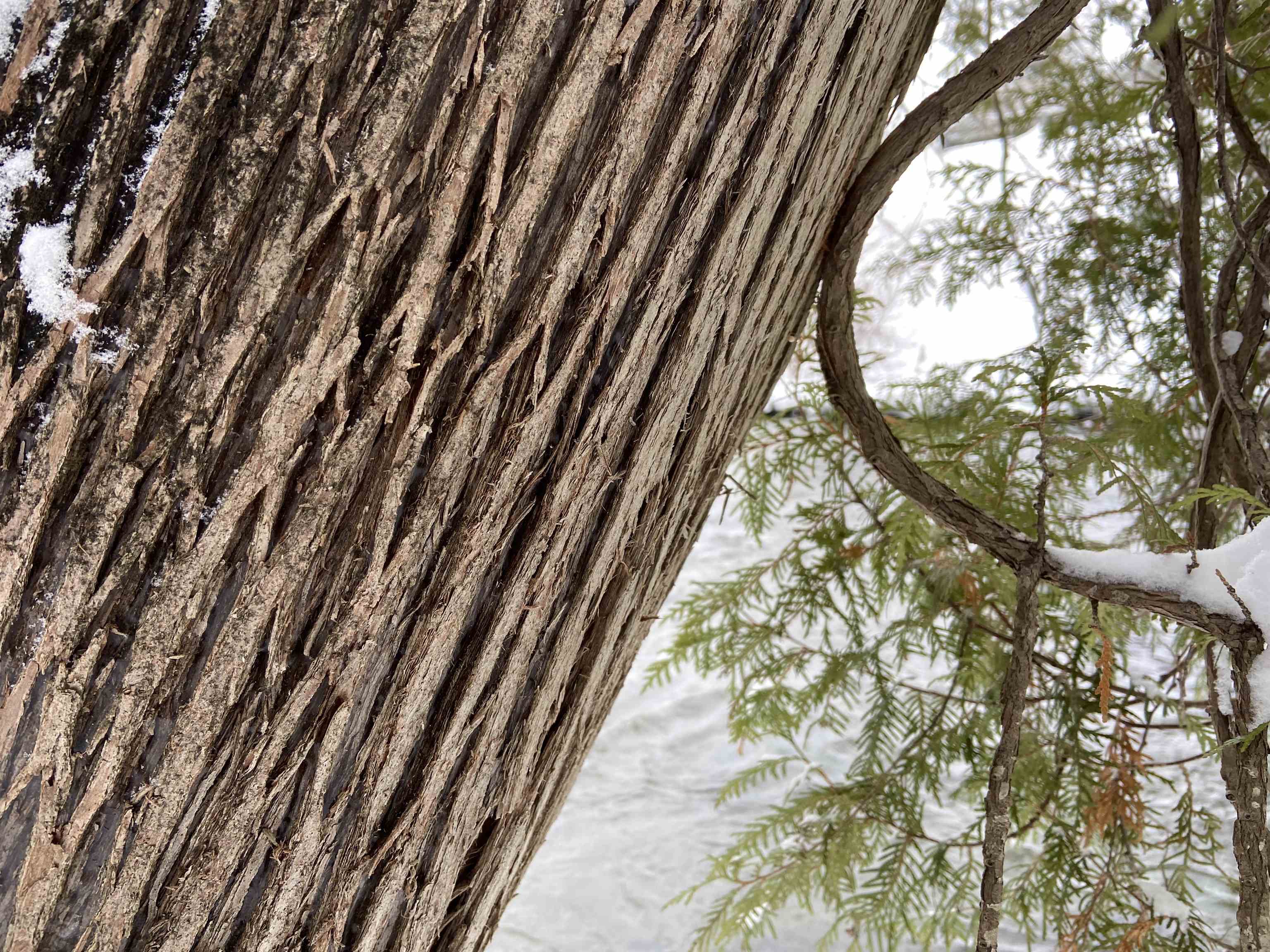 0 Fall Brook Road, Unit 4 Lyndonville, VT 05851 - Photo 22 of 60