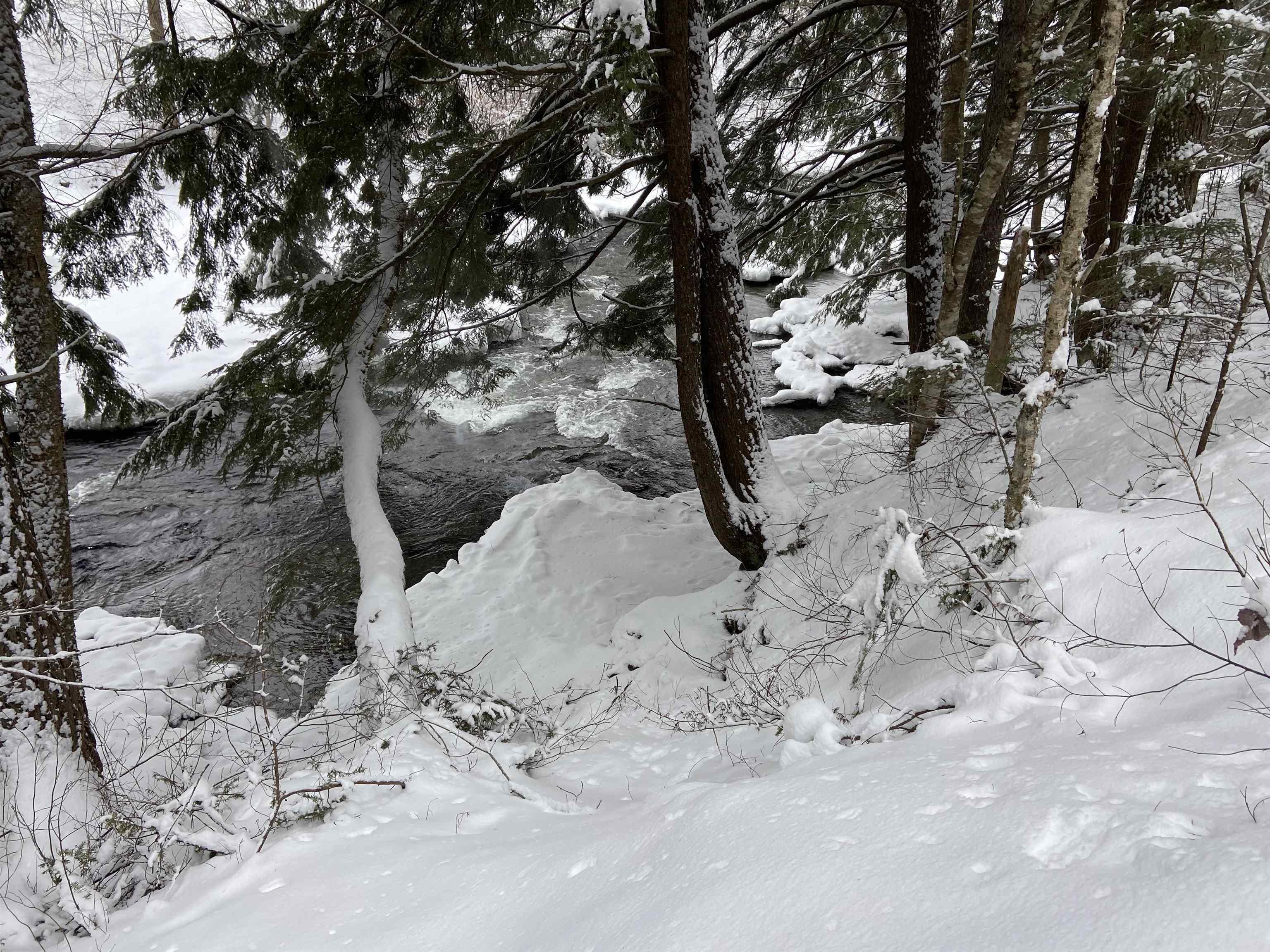 0 Fall Brook Road, Unit 4 Lyndonville, VT 05851 - Photo 24 of 60