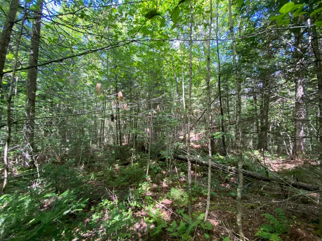 $75,000 | 0 Fall Brook Road, Unit 4, Lyndonville, VT 05851