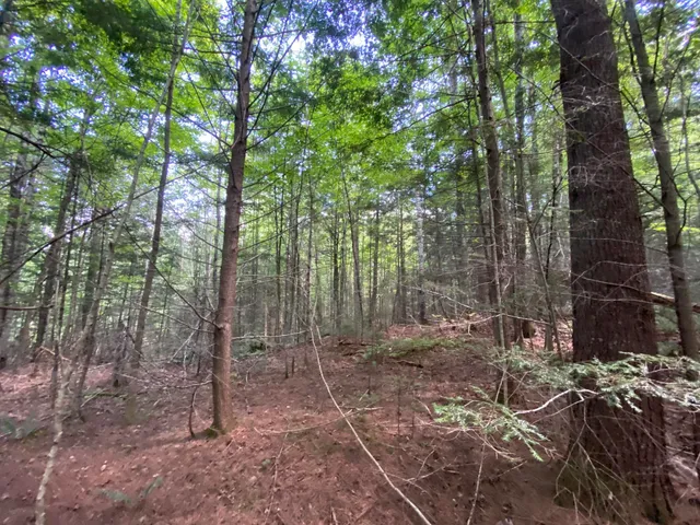 $75,000 | 0 Fall Brook Road, Unit 4, Lyndonville, VT 05851