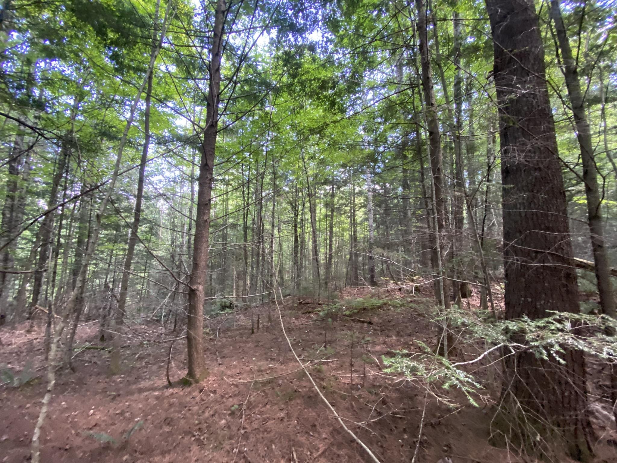 0 Fall Brook Road, Unit 4 Lyndonville, VT 05851 - Photo 30 of 60