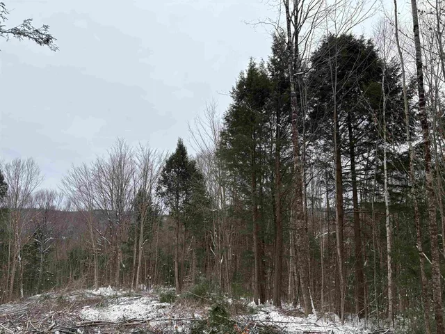 $75,000 | 0 Fall Brook Road, Unit 4, Lyndonville, VT 05851