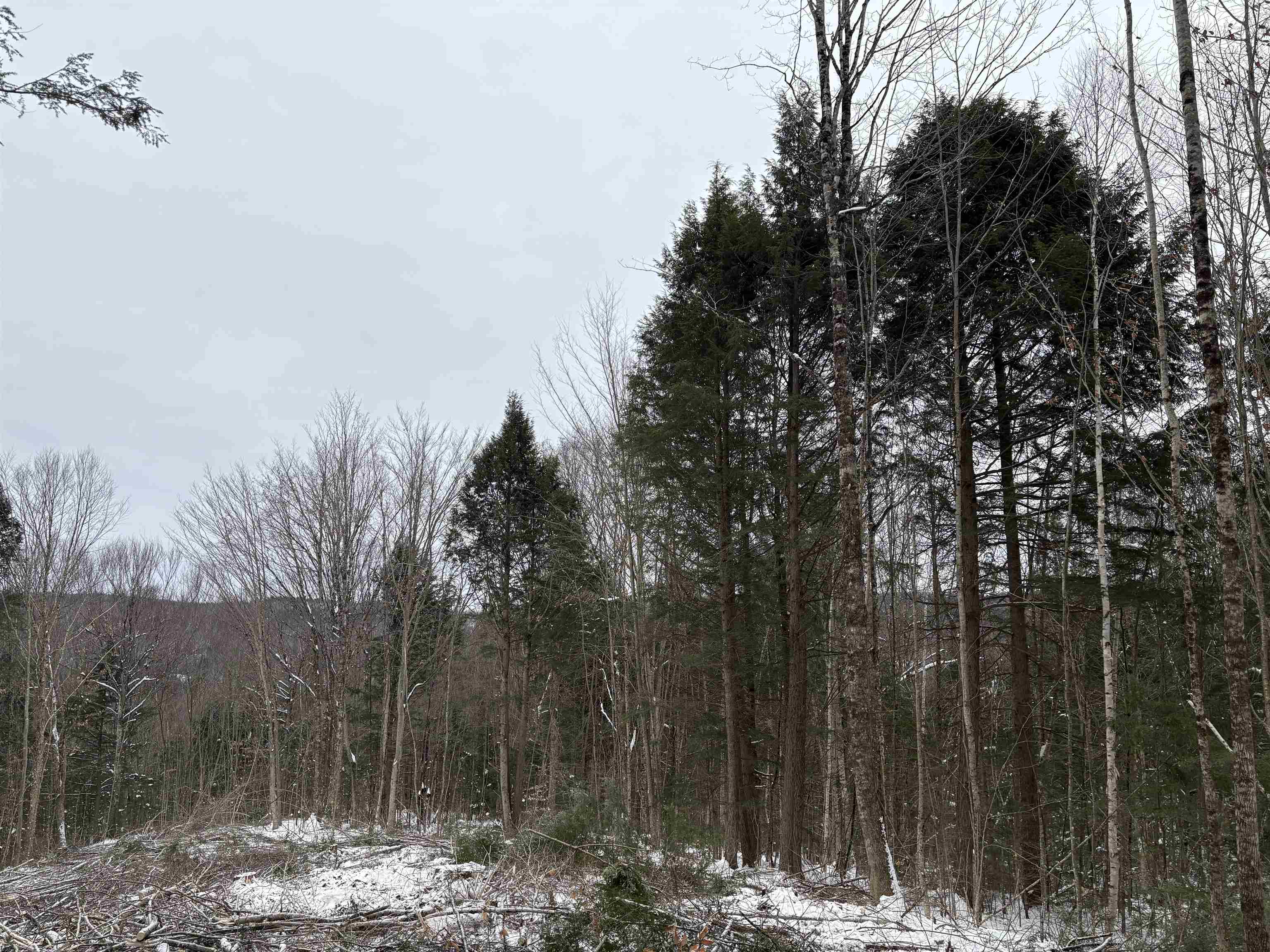 0 Fall Brook Road, Unit 4 Lyndonville, VT 05851 - Photo 3 of 60