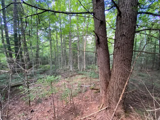 $75,000 | 0 Fall Brook Road, Unit 4, Lyndonville, VT 05851