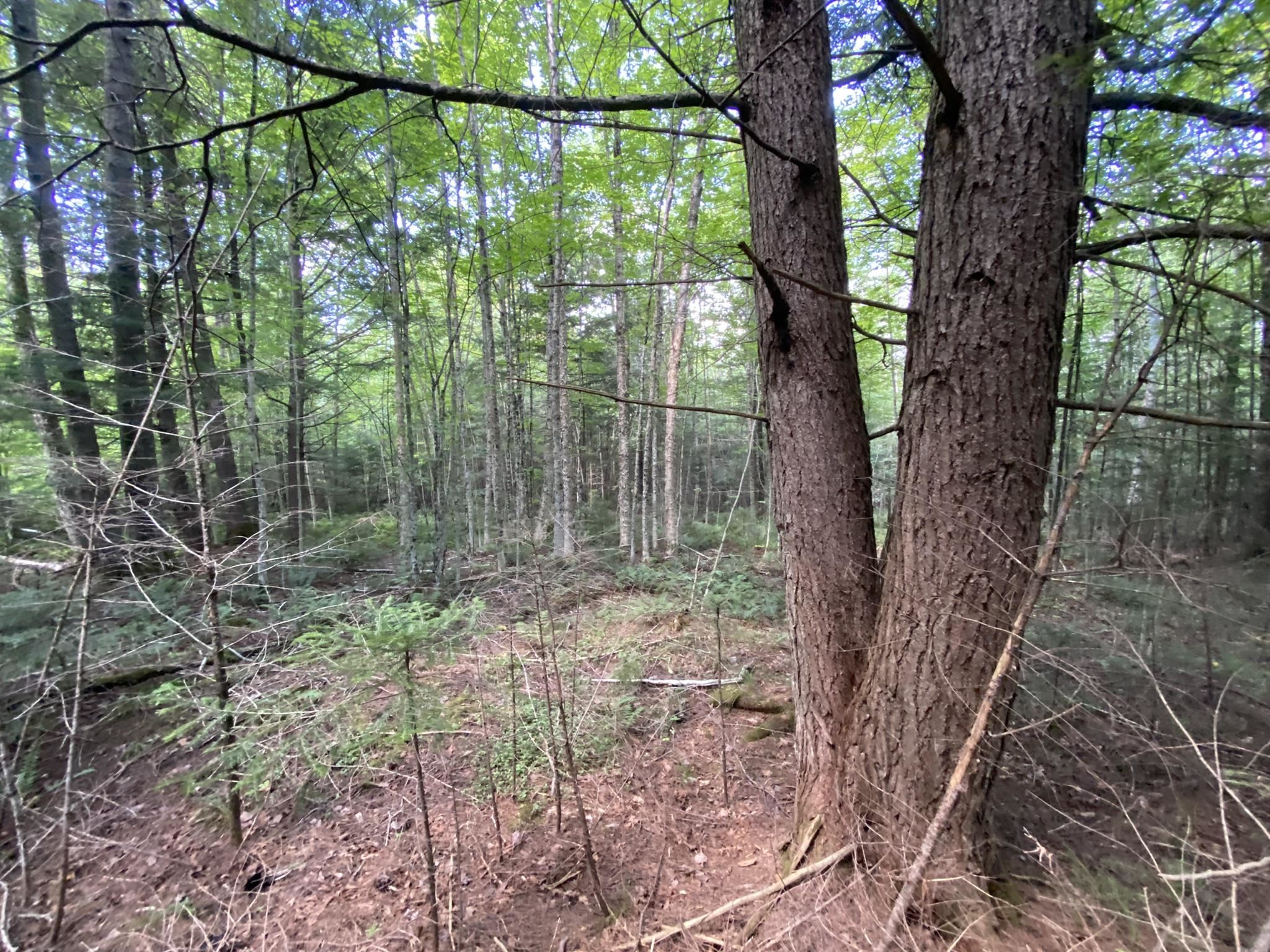 0 Fall Brook Road, Unit 4 Lyndonville, VT 05851 - Photo 31 of 60