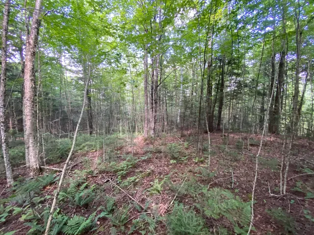 $75,000 | 0 Fall Brook Road, Unit 4, Lyndonville, VT 05851