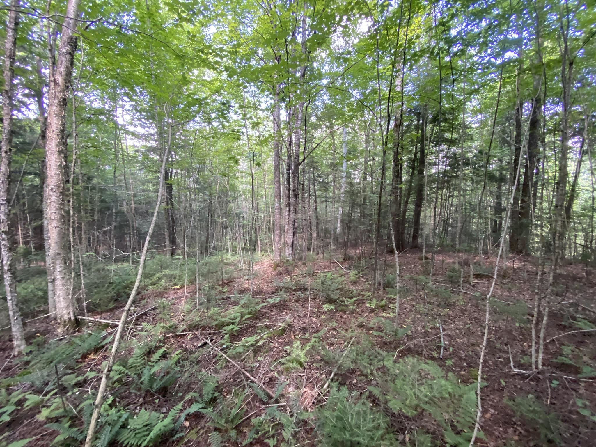 0 Fall Brook Road, Unit 4 Lyndonville, VT 05851 - Photo 32 of 60