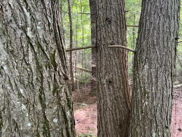 $75,000 | 0 Fall Brook Road, Unit 4, Lyndonville, VT 05851