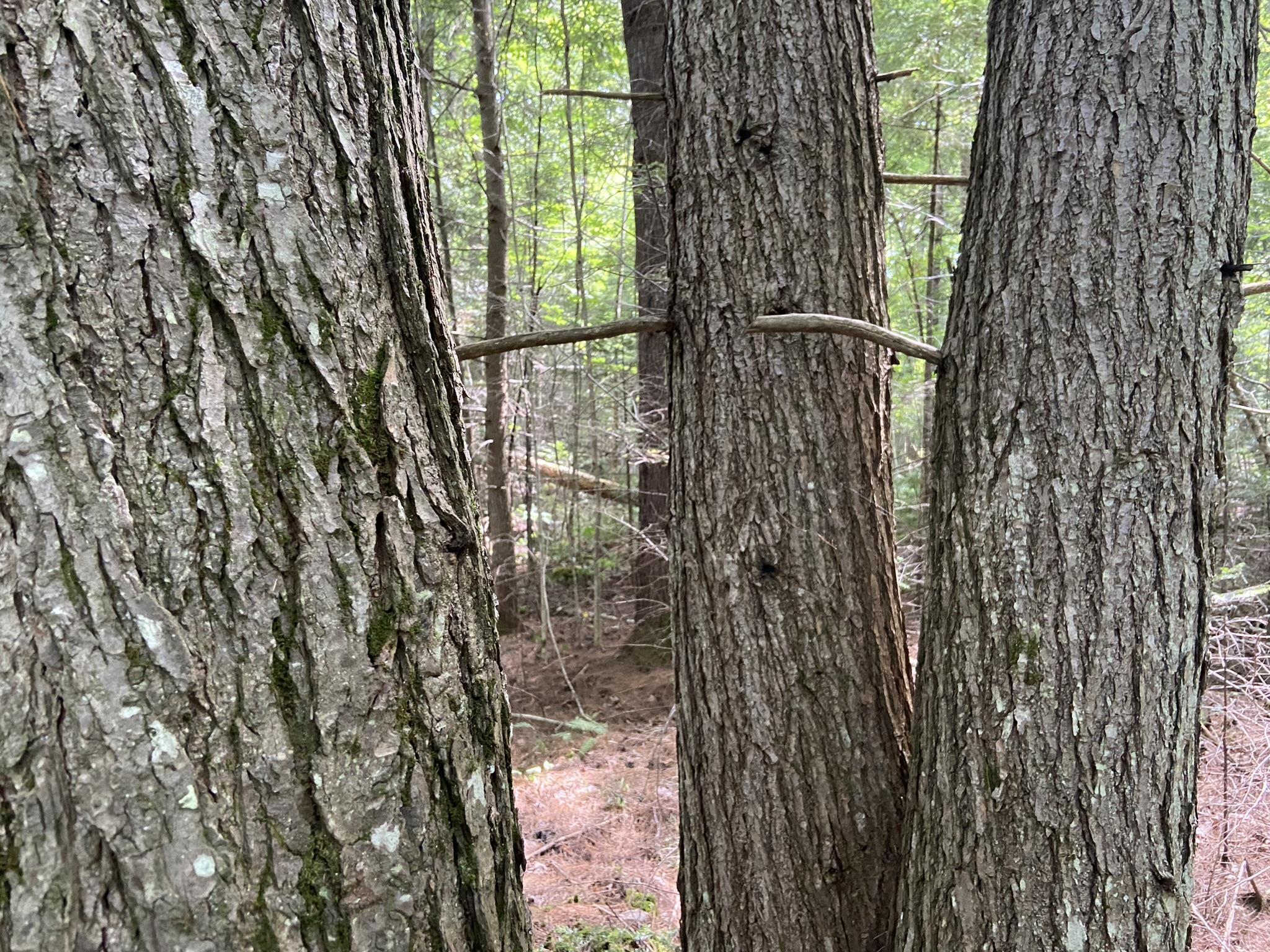 0 Fall Brook Road, Unit 4 Lyndonville, VT 05851 - Photo 33 of 60