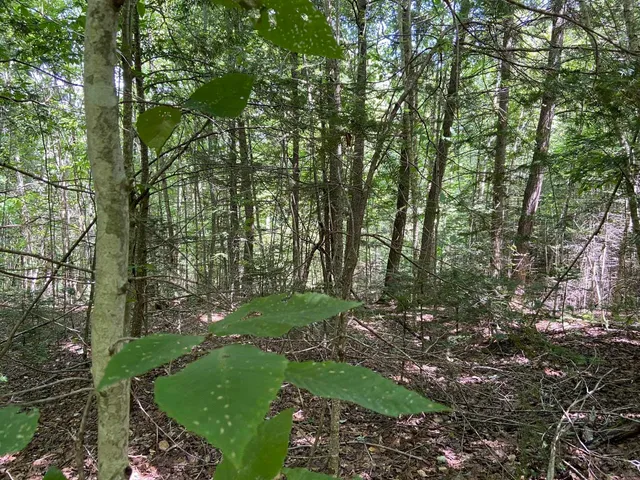 $75,000 | 0 Fall Brook Road, Unit 4, Lyndonville, VT 05851