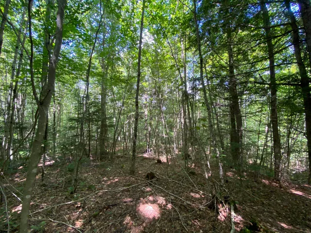 $75,000 | 0 Fall Brook Road, Unit 4, Lyndonville, VT 05851