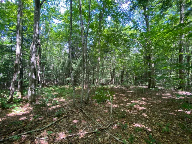 $75,000 | 0 Fall Brook Road, Unit 4, Lyndonville, VT 05851