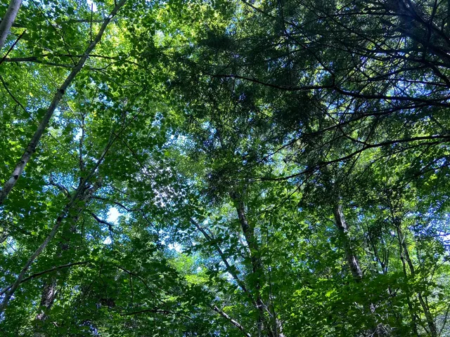 $75,000 | 0 Fall Brook Road, Unit 4, Lyndonville, VT 05851