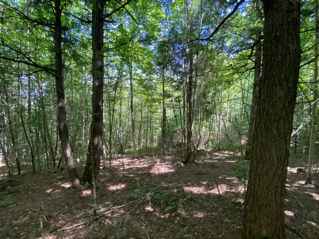 $75,000 | 0 Fall Brook Road, Unit 4, Lyndonville, VT 05851