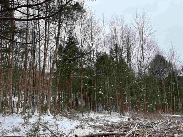 $75,000 | 0 Fall Brook Road, Unit 4, Lyndonville, VT 05851