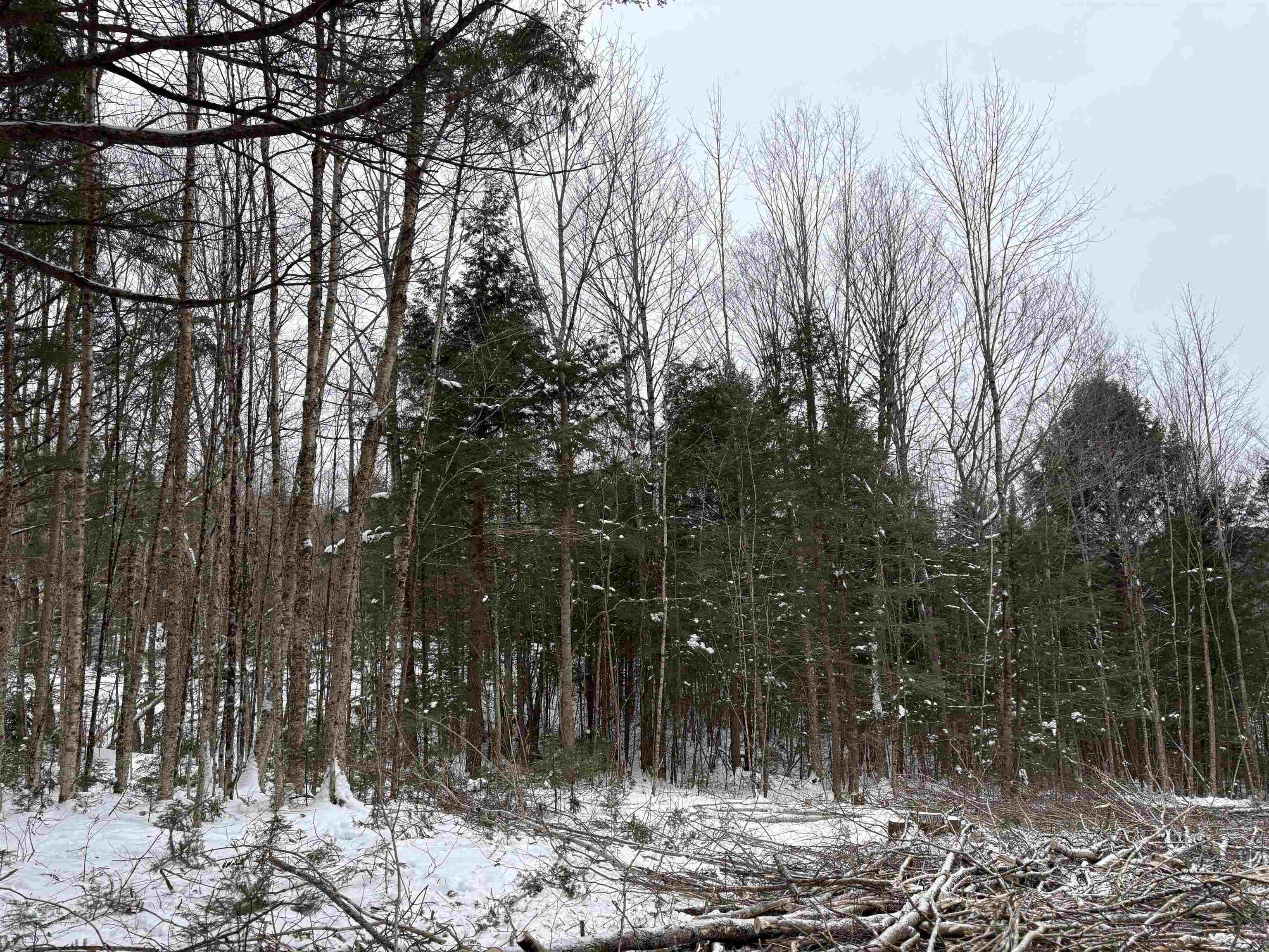 0 Fall Brook Road, Unit 4 Lyndonville, VT 05851 - Photo 4 of 60