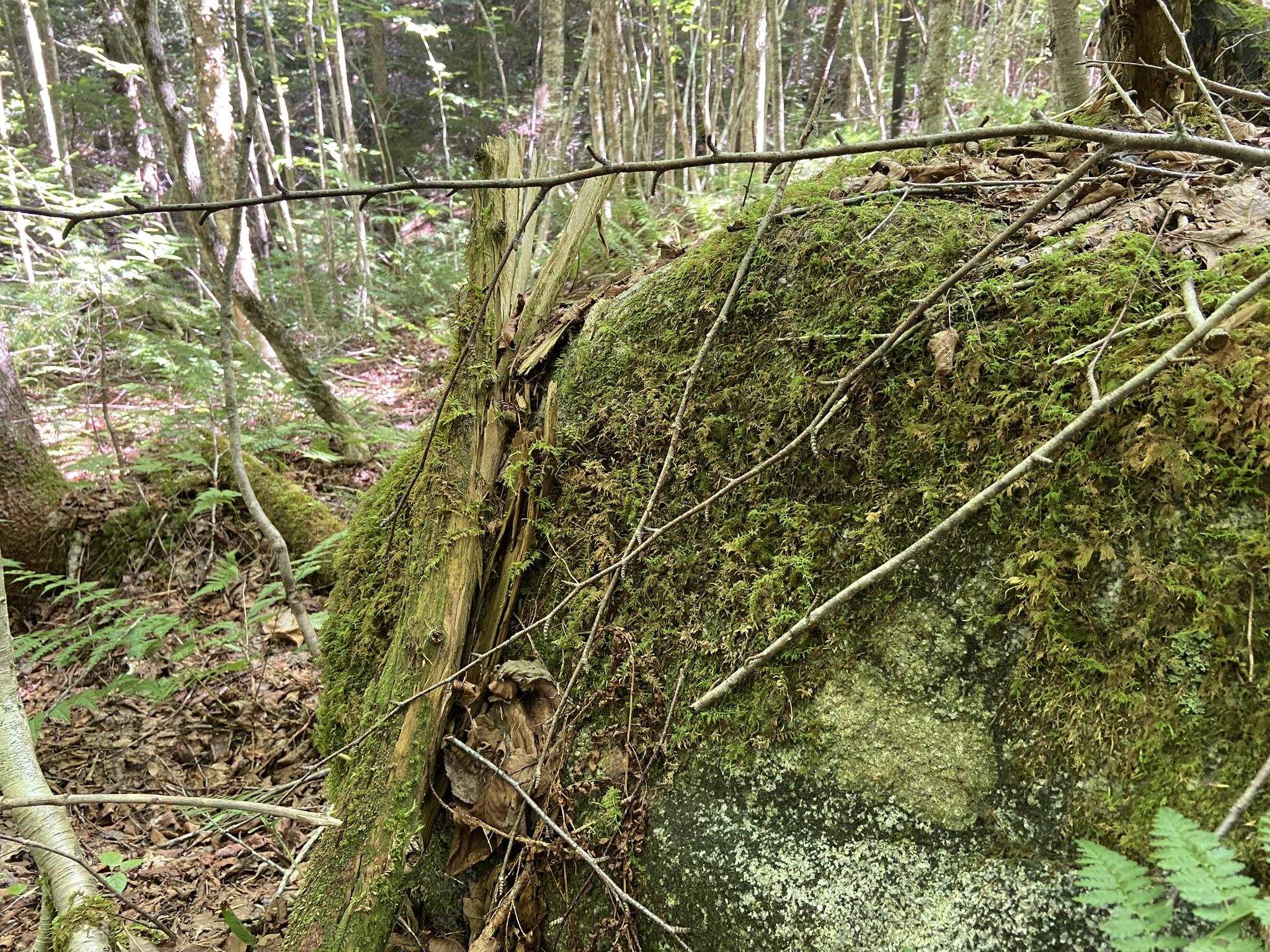 0 Fall Brook Road, Unit 4 Lyndonville, VT 05851 - Photo 41 of 60