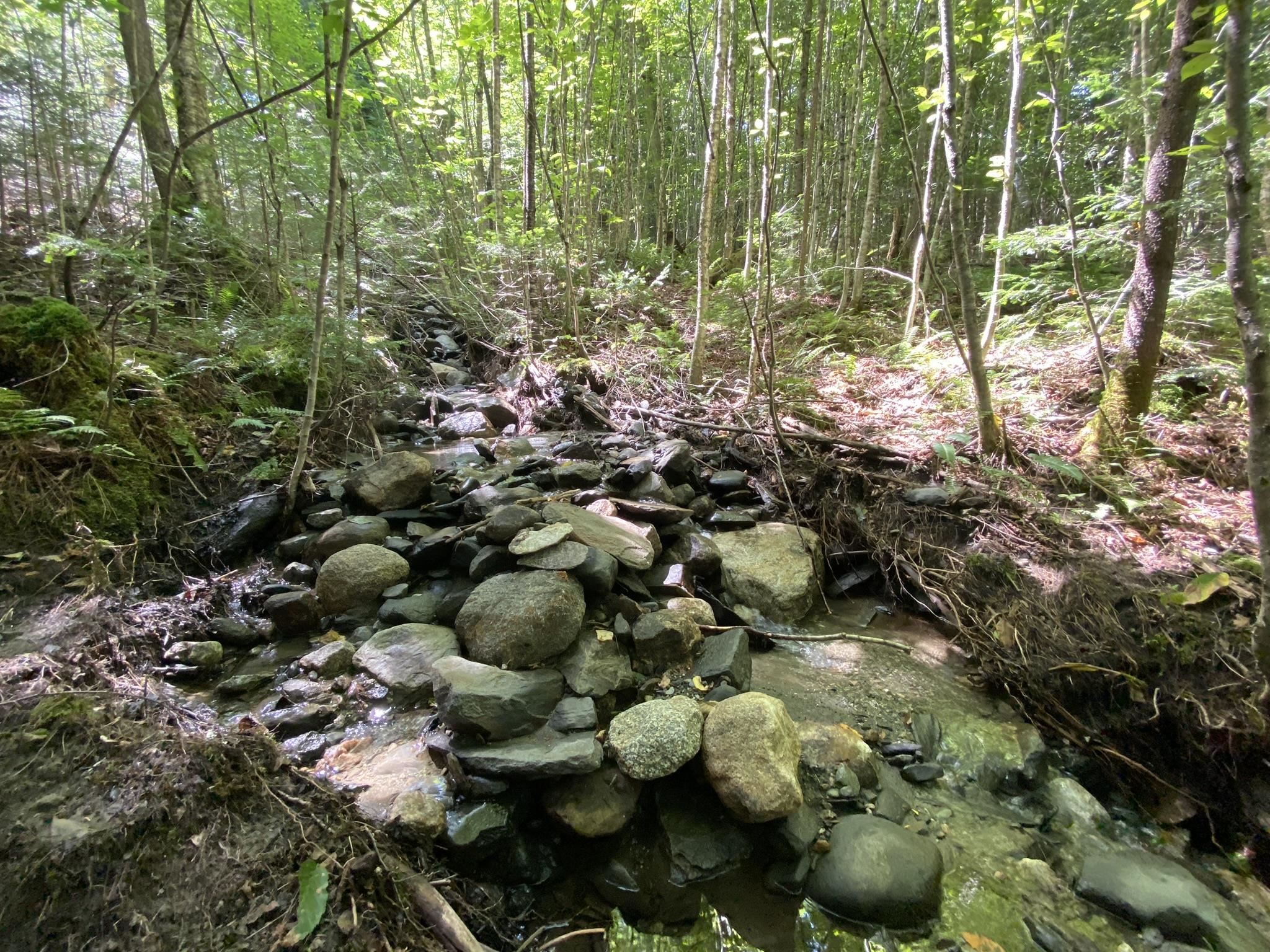 0 Fall Brook Road, Unit 4 Lyndonville, VT 05851 - Photo 42 of 60