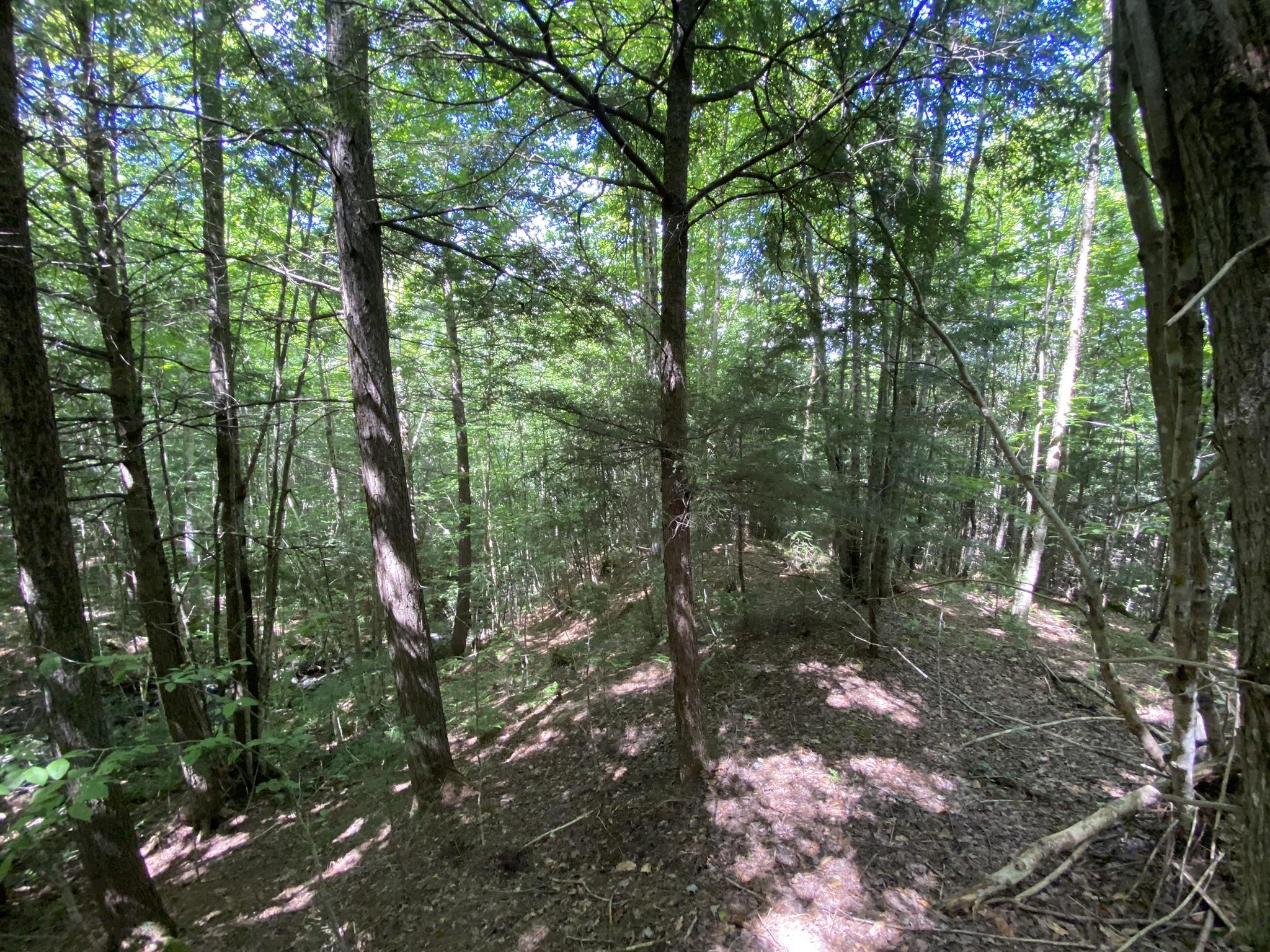 0 Fall Brook Road, Unit 4 Lyndonville, VT 05851 - Photo 43 of 60