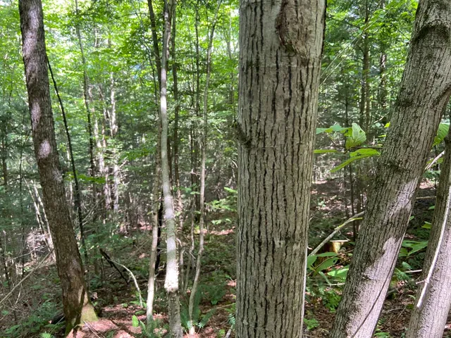 $75,000 | 0 Fall Brook Road, Unit 4, Lyndonville, VT 05851