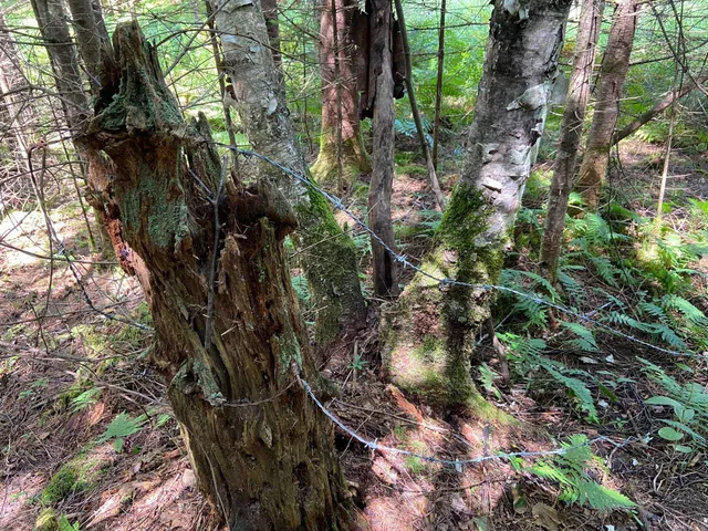 $75,000 | 0 Fall Brook Road, Unit 4, Lyndonville, VT 05851