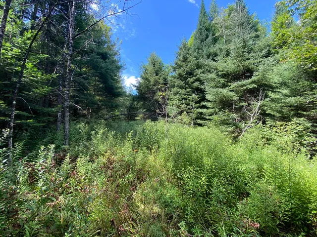 $75,000 | 0 Fall Brook Road, Unit 4, Lyndonville, VT 05851