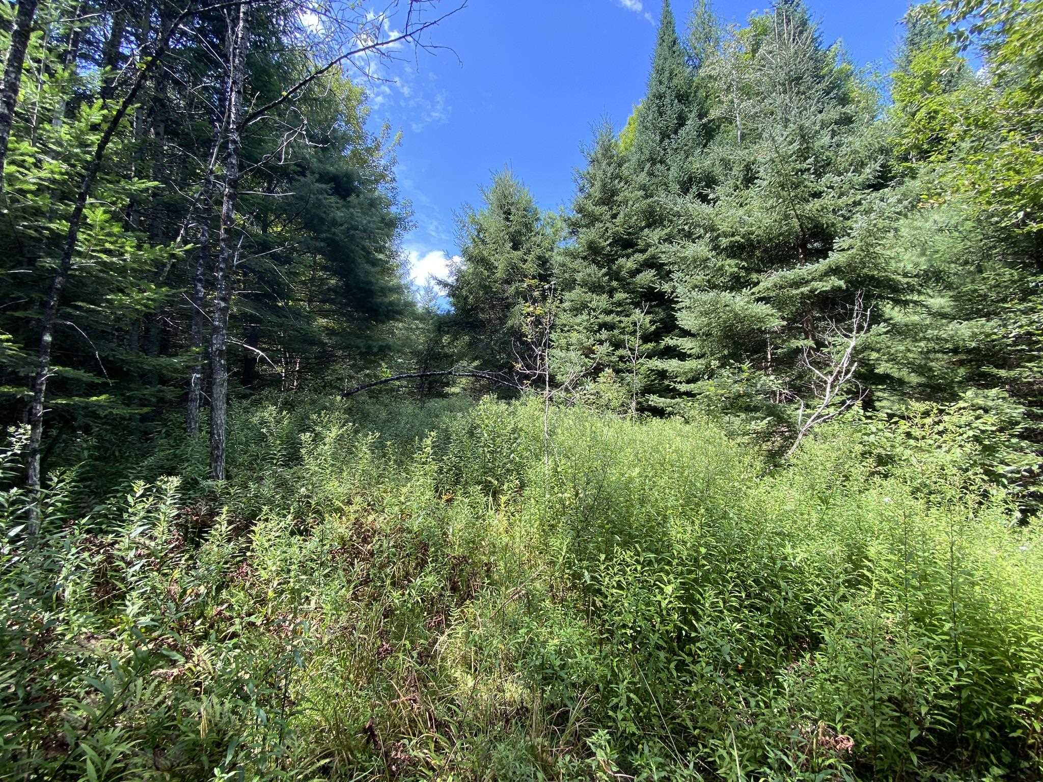 0 Fall Brook Road, Unit 4 Lyndonville, VT 05851 - Photo 48 of 60