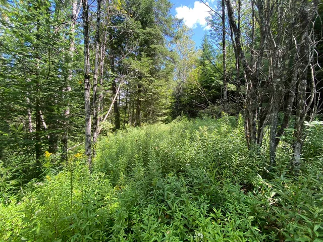 $75,000 | 0 Fall Brook Road, Unit 4, Lyndonville, VT 05851