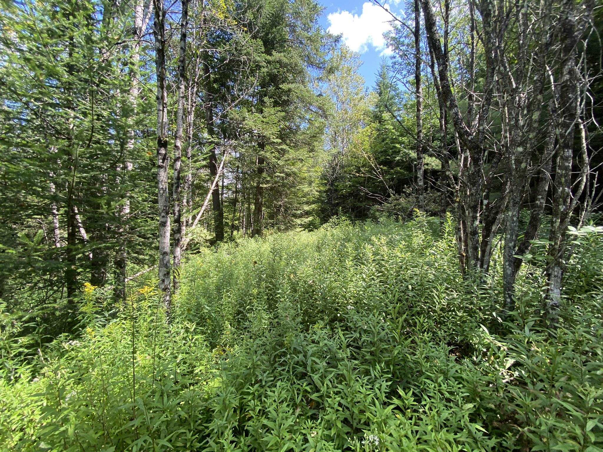0 Fall Brook Road, Unit 4 Lyndonville, VT 05851 - Photo 49 of 60