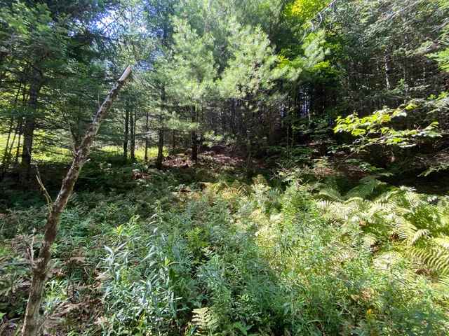 $75,000 | 0 Fall Brook Road, Unit 4, Lyndonville, VT 05851